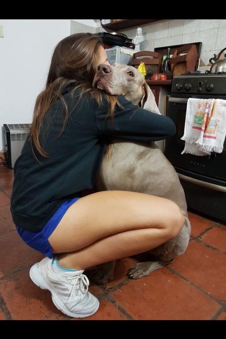 Imagen de publicación